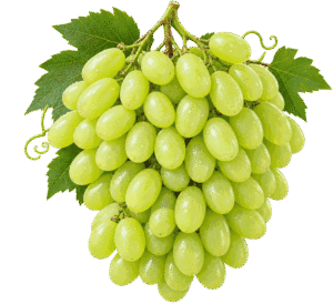 grapes