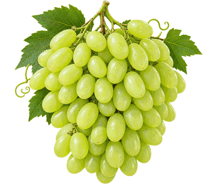grapes