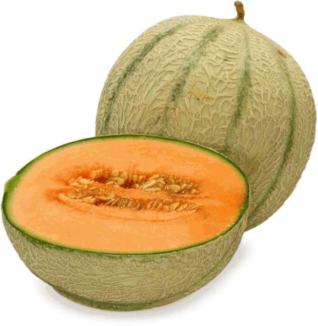 muskmelon