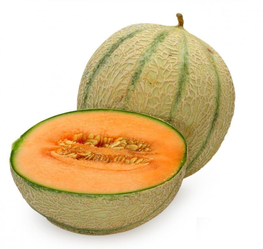 muskmelon